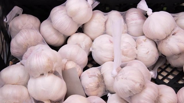 Freshly picked garlic on market. Garlic harvest. Many garlics in a net. 
