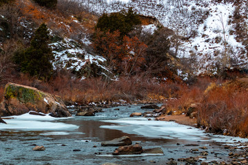 Bighorn Sheep Along the Platte River