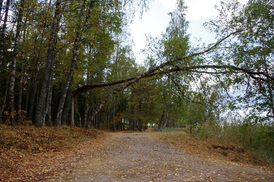 chemin le long de la cote Estonienne