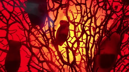 Mermaid’s Purse or shark eggs is round where the skate’s eggs got four points on either side both attaches to the kelp and blend with it or camouflage it - Powered by Adobe