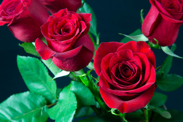 roses on a red background