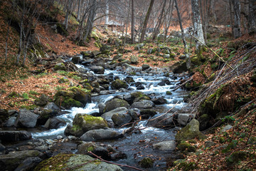 Small river on mountain swollen due to snow melt. Riverbed with big stones. End of winter and beginning of spring.