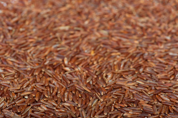 Surface covered with the red rice