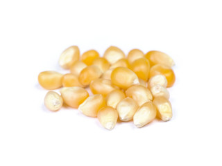 Pile of dried corn