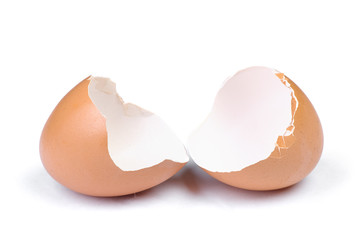 Broken egg shell
