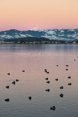 Landscapes along the shores of the Upper Zurich Lake (Obersee) between the villgae of Hurden (Seedam, Schwyz) and Rapperswil (Sankt Gallen), Switzerland