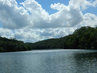 Cuba. Varadero. River Canimar