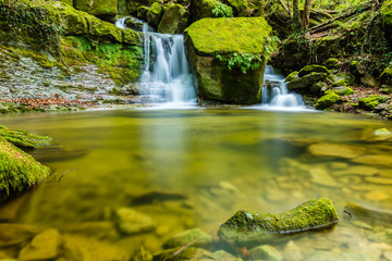 waterfall in the forest