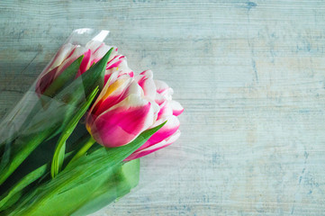 red tulips on wooden background