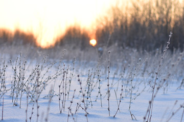 зимний закат