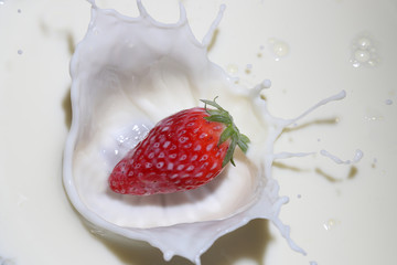 イチゴ