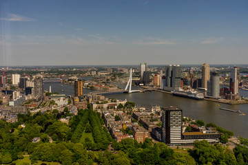 Fototapeta na wymiar Netherlands, Rotterdam, cityscape and skyline of the city with erasmus bridge