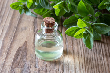 A bottle of oregano essential oil with fresh oregano twigs