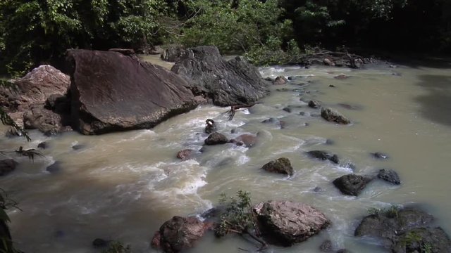 Small stream in the jungle, Borneo Malaysia