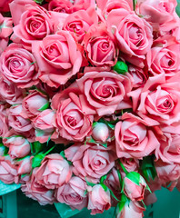 bouquet of pink roses