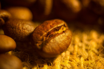 Roasted coffee beans on a yellow background.