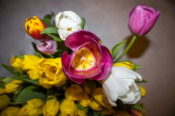 Obraz na płótnie Canvas bouquet of colorful tulips