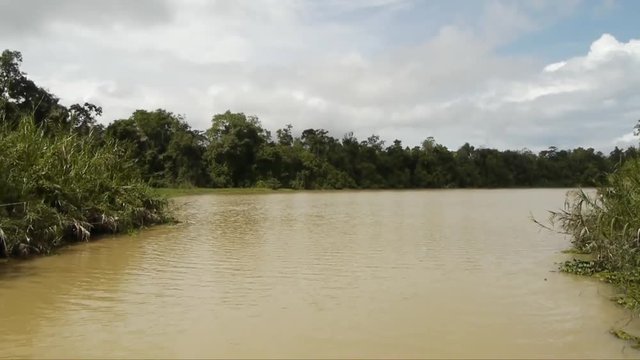 Rainforest and river Borneo filming from boat