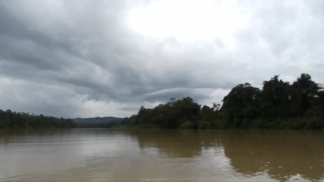Sabah Borneo, Rainforest River