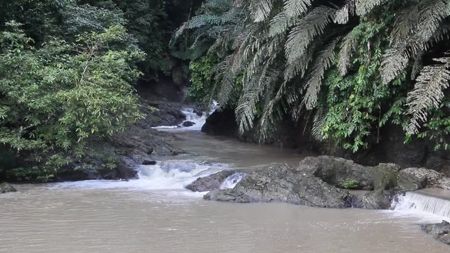 Stream in the Tabin Wildlife Reserve, Malaysia