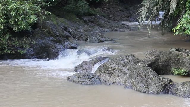 Small stream in the Tabin Wildlife Reserve, Malaysia