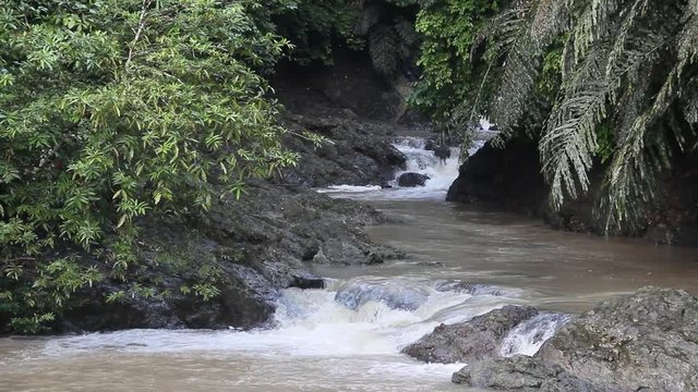 Stream in the Tabin Wildlife Reserve, Malaysia