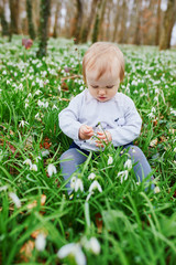One year old baby girl sitting on the grass with many snowdrop flowers