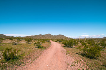 Arizona Desert Trail