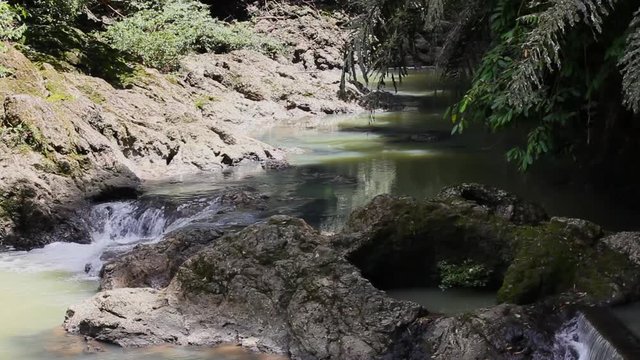 Small river in the Bornean forest