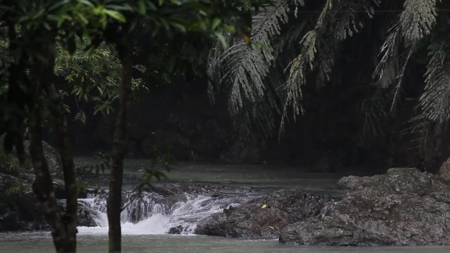 Small river in Tabin Wildlife Reserve
