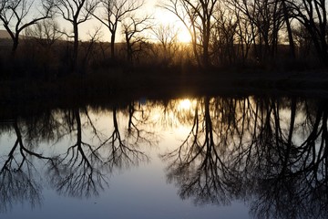 Obraz premium Reflection