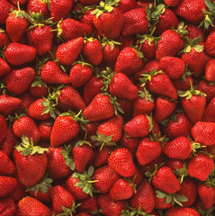 Fresh ripe organic strawberries in a pile