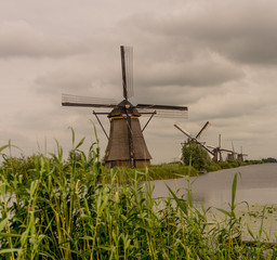 Netherlands, Rotterdam, Kinderdijk, heritage windmill above lush green grass along a canal