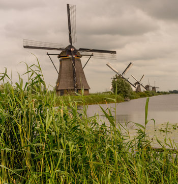 Netherlands, Rotterdam, Kinderdijk, heritage windmill above lush green grass along a canal