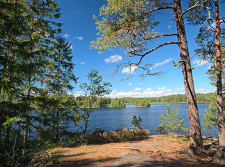 Idyllic Finnish summer lake scene at Teijo hiking trail in Salo, Finland. Big tree and the Matildajarvi lake on the background.