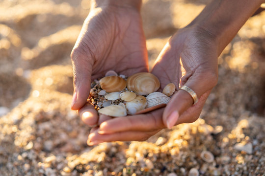 Woman collecting seashells on the beach