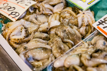 seafood in the fish market