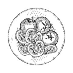 delicious tomato in drawing isolated icon