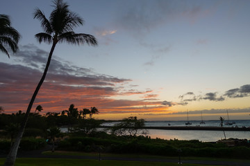 Sunset on the Big Island of Hawaii overlooking the pacific ocean with palm trees and sailboats
