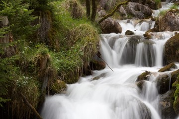 waterfall in forest