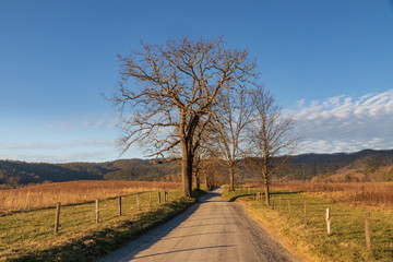 Sparks Lane at Cades Cove Great Smoky Mountains National Park