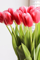 Bouquet of pink fresh tulips. Greeting card. Modern photo.