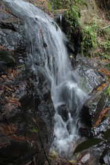 cascada © JulietaMailen