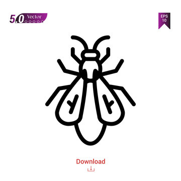 Outline fly icon isolated on white background. insect icons. Graphic design, mobile application, logo, user interface. Editable stroke. EPS10 format vector illustration