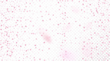 Nice Sakura Blossom Isolated Vector. Feminine Showering 3d Petals Wedding Texture. Japanese Oriental Flowers Wallpaper. Valentine, Mother's Day Spring Nice Sakura Blossom Isolated on White