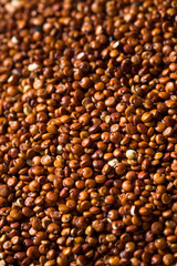 Red Organic Quinoa Grain