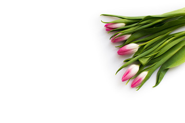 Fresh bouquet of five tulips isolated on white background. Spring flowers. Space for your text.