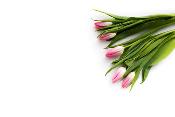 Fresh bouquet of five tulips isolated on white background. Spring flowers. Space for your text.