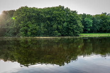 Fototapeta premium Water pond in Haagse Bos, forest in The Hague