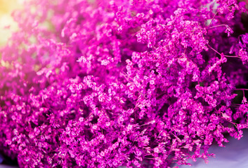 Plakat bouquet of purple flowers